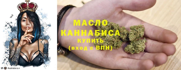 шишки Сатка