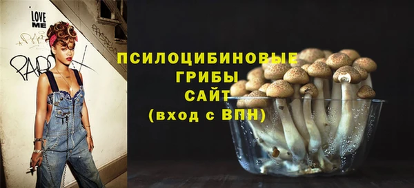 экстази Арсеньев