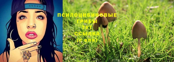 экстази Арсеньев