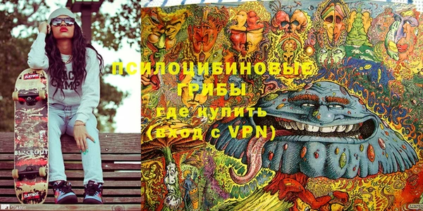 экстази Арсеньев