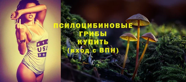 экстази Арсеньев