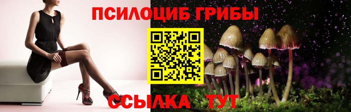 Галлюциногенные грибы Cubensis  Псилоцибиновые грибы мухоморы  Вход с VPN  Минусинск 